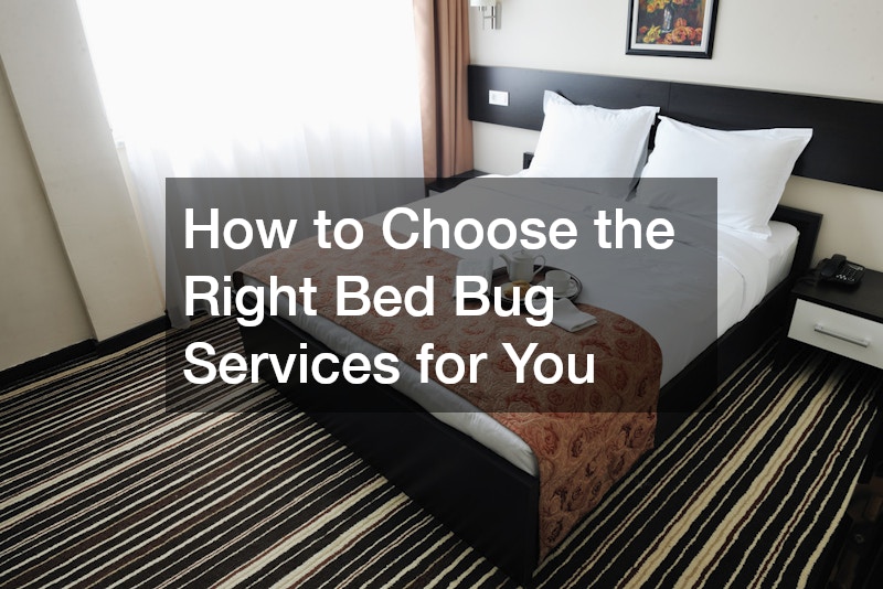 How to Choose the Right Bed Bug Services for You